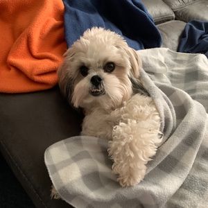 Meet your Posher, Danyelle